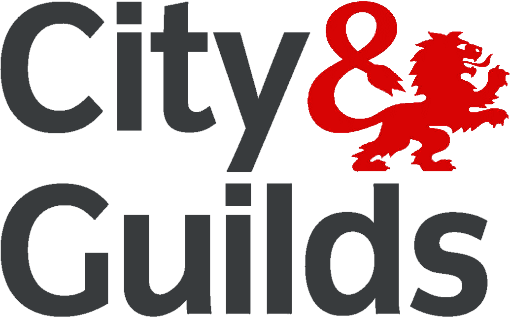City & Guilds Electrician in Walton-on-Thames